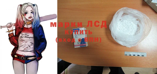 ECSTASY Алзамай