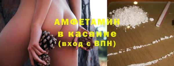 ECSTASY Алзамай