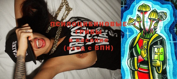 ECSTASY Алзамай