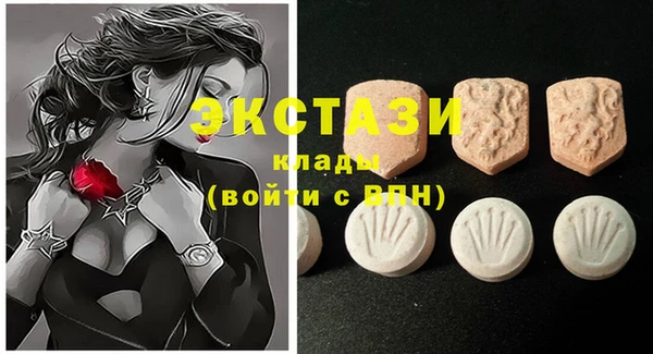 ECSTASY Алзамай