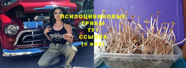 ECSTASY Алзамай
