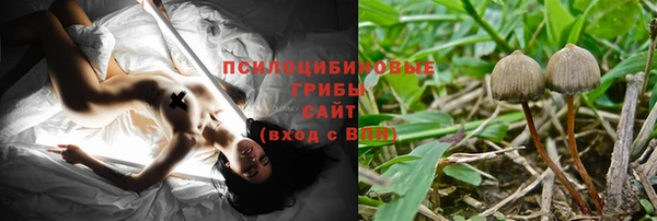 ECSTASY Алзамай