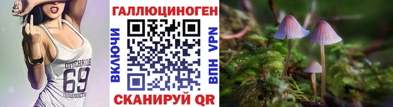 как найти закладки  Москва  Галлюциногенные грибы Psilocybe 